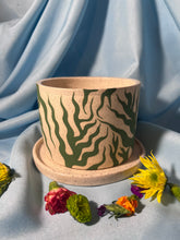 Load image into Gallery viewer, Fern planter
