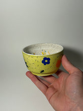 Load image into Gallery viewer, Picnic bowl
