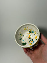 Load image into Gallery viewer, Picnic bowl
