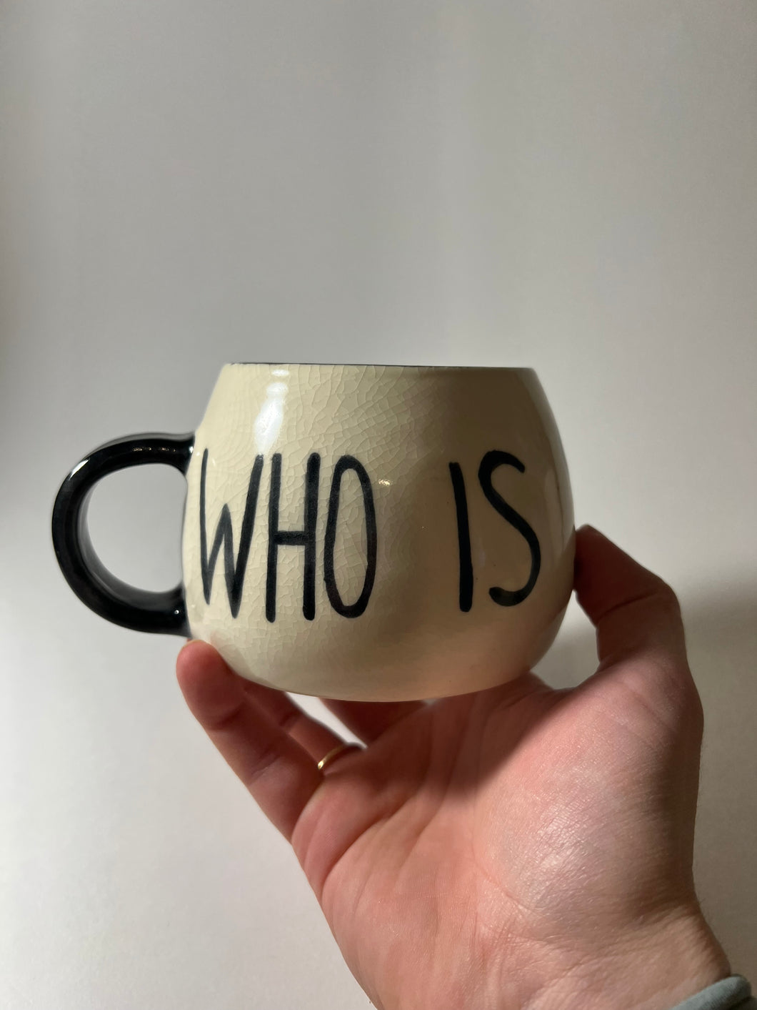 WHO IS SOUP MAN mug